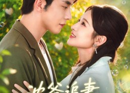 【沈爷追妻甜如蜜】20集短剧全集免费畅快看