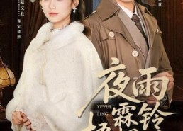 【烽火错爱】51集短剧免费在线畅看