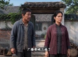 【台风来前，他割开了全村的大棚】43集短剧在线免费赏看