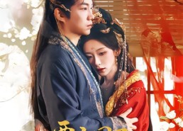 【要亡国了那朕先纳个妃】70集短剧免费在线赏看