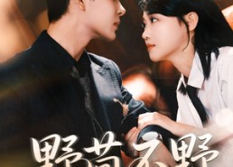 【野茴不野】67集在线免费短剧全集观览