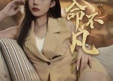 【天命不凡】28集短剧免费全集乐看