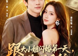 【跟大小姐闪婚第一天，我觉醒系统】81集短剧免费完整观看