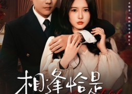 【相逢恰是涅槃时】63集在线看短剧无广告版