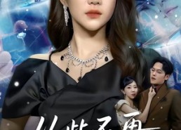 【从此不再做贤妻】60集短剧免费在线赏阅