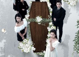 【双生迷雾】80集短剧全集在线免费观看