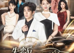 【失恋后聘上姐姐的小司机】86集短剧免费高清观看