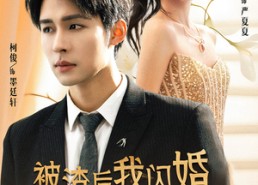 【被渣后我闪婚了豪门继承人】96集免费短剧在线全集观