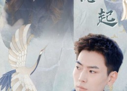 【前妻大佬惹不起】77集短剧全集免费赏看