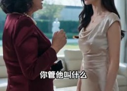 【枫华奔前程】40集短剧免费全集在线赏映