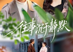 【往事沉于静默】70集短剧免费全集畅快观影