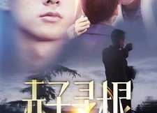 【赤子寻根】100集免费短剧全集畅享观看