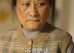 【我在八零年代当后妈】31集免费短剧全辑速看