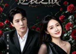 【荆棘玫瑰逆袭之战】86集免费短剧全集在线赏看