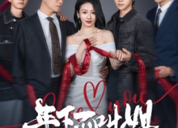 【年下不叫姐】38集短剧免费全集观享