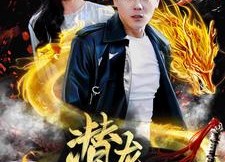 【潜龙出渊】95集短剧全集高清在线享