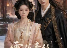 【雪落青丝断前尘】52集短剧免费在线追看
