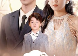 【战总你找错夫人了】80集免费短剧在线全集阅