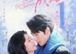 【暗恋成婚】60集免费短剧完整版速览