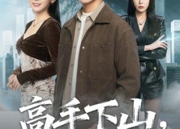 【高手下山，美女请留步】80集短剧免费高清观看