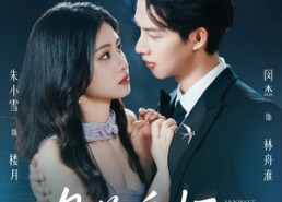 【月落舟怀】46集免费短剧随心观看