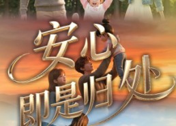 【安心即是归处】64集高清短剧免费在线看