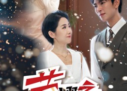 【荣耀之下】46集短剧免费在线畅看全集