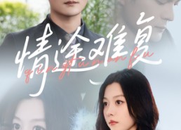 【情途难复】50集短剧在线高清免费观