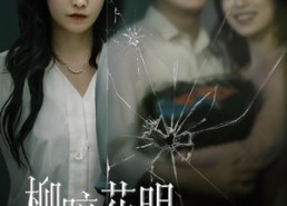 【柳暗花明终有时】50集全集短剧免费在线赏