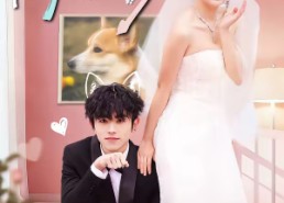 【忠犬变恶少】80集短剧完整免费观瞧