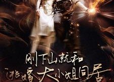 【刚下山就和逃婚大小姐同居】90集短剧免费全集在线观