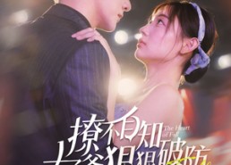 【撩不自知太子爷狠狠破防】100集短剧完整版免费观瞧