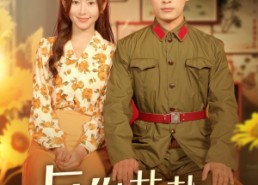 【与你共赴岁月长】100集在线短剧免费观映