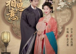 【唯有相思意】100集短剧在线免费观全集