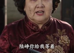 【方寸宅院见公道】77集短剧在线免费观看全集