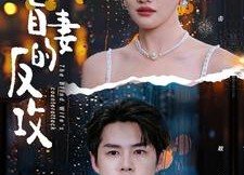 【盲妻的反攻】88集线上短剧免费全集速看