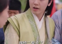 【宫墙今夜有雪】84集短剧免费在线观