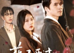 【花已开过六十次】72集短剧全集免费观赏