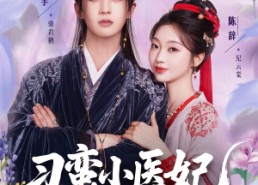 【刁蛮小医妃】72集全集短剧在线速看