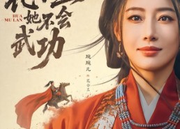 【这个花木兰她不会武功】60集短剧完整版在线赏看