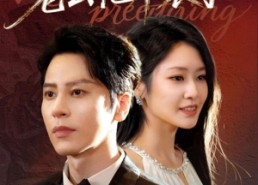 【增高手术后，老公他不装了】94集高清短剧在线免费看