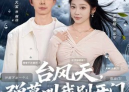 【台风天，弹幕叫我别开门】60集在线赏短剧全集