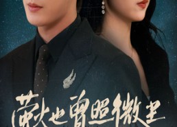 【萤火也曾照微尘】63集在线短剧免费全看