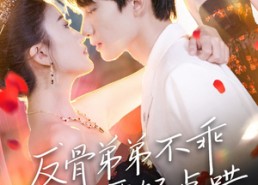 【反骨弟弟不乖要轻点哄】106集免费看短剧全集网