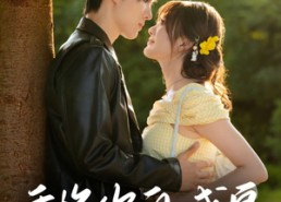 【重逢你的盛夏】66集短剧免费在线全览观看