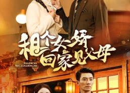 【租个女婿回家见父母】61集短剧免费高清观赏