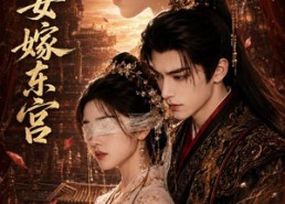 【盲女嫁东宫】60集热门短剧免费在线播放