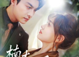 【楠木向阳】70集免费短剧在线流畅播放