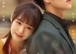 【终会遇见你】66集夸克网盘短剧在线随心看