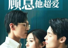 【报告许小姐，顾总他超爱】76集精彩短剧免费观览